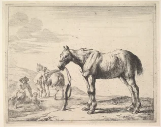 Caballo atado a un poste, girado a la izquierda