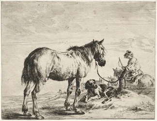 Caballo atado a un poste