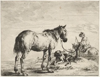 Caballo atado a un poste