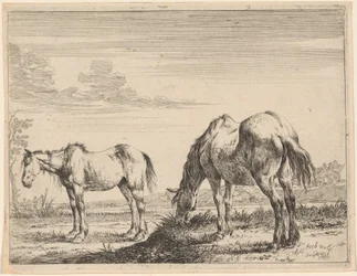 Dos Caballos Pastando
