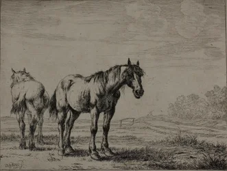 Dos caballos de arado, lámina siete de la Serie de Caballos