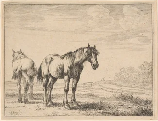 Dos Caballos de Arado Parados en un Campo