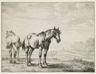 Dos Caballos de Arado