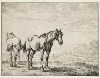 Dos caballos de arado