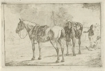 Dos caballos ensillados en un campamento militar