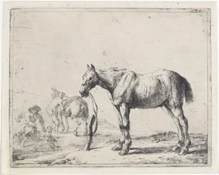 Caballo atado a un poste a la izquierda Caballos (título de la serie)