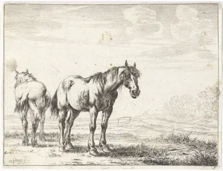 Dos caballos en un paisaje Caballos (título de la serie)