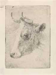 cabeza de toro