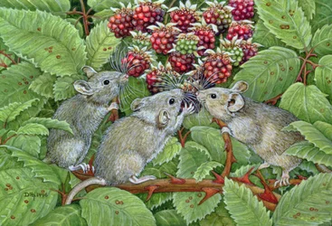 Recolección de moras, 1996
