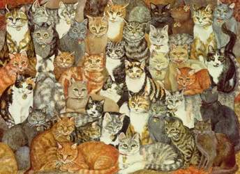 Gato extendido