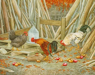 Alimento para pollos
