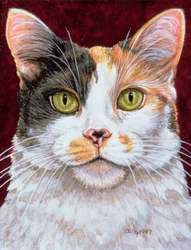 Caléndula, 1997