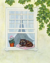 El Gato de Pam