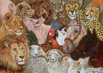 El Arca Extendida, 1995