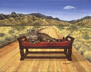El gato Elkhorn