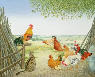 Las aves de corral y el gatito
