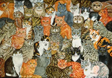 Los búhos y los gatitos