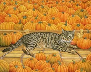 La Calabaza-Gato