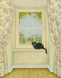 El gato de la ventana