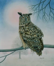 Búho de invierno