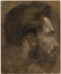 Beccafumi - Cabeza de hombre barbado de perfil hacia la derecha, ca. 1530-1535