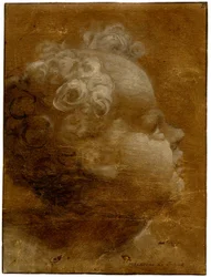 Beccafumi - Cabeza de niño mirando hacia arriba, de perfil a la derecha Dibujo a pincel en óleo gris-marrón y blanco, sobre papel preparado marrón, con líneas sangradas, 1528 (circa)