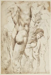 Estudios de piernas y desnudos masculinos