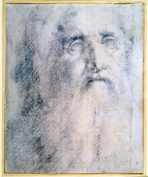 Estudio de la cabeza de un anciano con barba