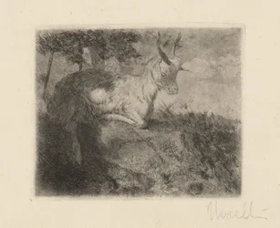 La cabrita (La capretta)