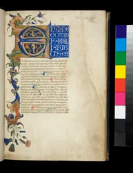 Ms 373. Pseudo-Cicerón, Rhetorica ad Herennium, y otras obras, f.1r. Inicial iluminada [E] y borde parcial con decoración de hojas de acanto y flores, la primera línea de texto en mayúsculas blancas sobre fondo azul