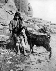 Niño árabe y cabra, Medio Oriente