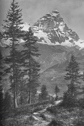El Matterhorn desde el lado italiano, Bosque de Brueil, 1917