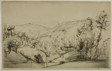 Campos de San Gimignano