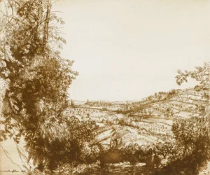 Olivares