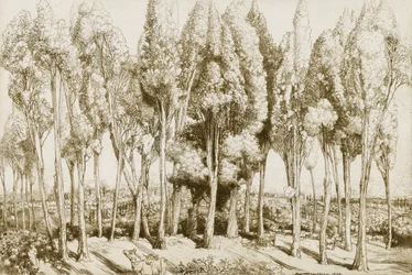 Road Song no. 5