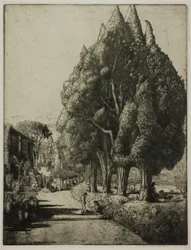 El bosque de cipreses