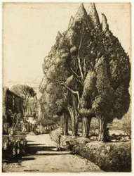 El bosque de cipreses