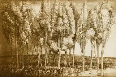 La danza de la primavera