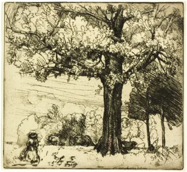El gran roble