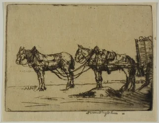 Dos caballos