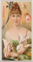 Ciclamen: Timidez, de la serie Bellezas Florales y Lenguaje de las Flores N75 para Du..., 1892