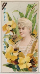 Clavel: Belleza inmarcesible, de la serie Bellezas Florales y Lenguaje de las Flores N7