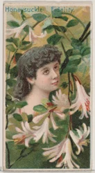 Madreselva: Fidelidad, de la serie Bellezas Florales y Lenguaje de las Flores N75 para D..., 1892