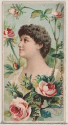 Rosa musgosa: Confesión de amor, de la serie Bellezas florales y lenguaje de las flores N7..., 1892