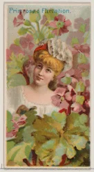Primavera: Coqueteo, de la serie Bellezas Florales y Lenguaje de las Flores N75 para Du...