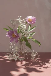 Peonías rosas bajo una luz suave