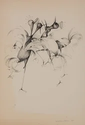 Pájaros