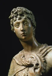 David (detalle)