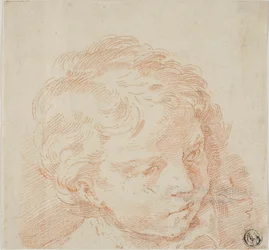 Cabeza de niño