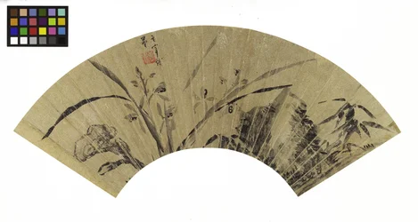 Orquídeas, hongo y roca, siglo XVII